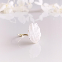【ワケありな逸品】Everpink Sakura. 本物のお花　 桜の花びらのコイルリング 12号フリーサイズ 指輪 5枚目の画像