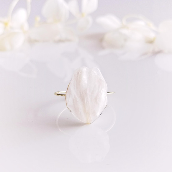 【ワケありな逸品】Everpink Sakura. 本物のお花　 桜の花びらのコイルリング 12号フリーサイズ 指輪 2枚目の画像