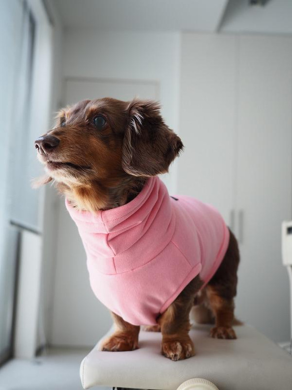 犬服　ニットのハイネックタンクトップ　中厚手　ピンク 4枚目の画像
