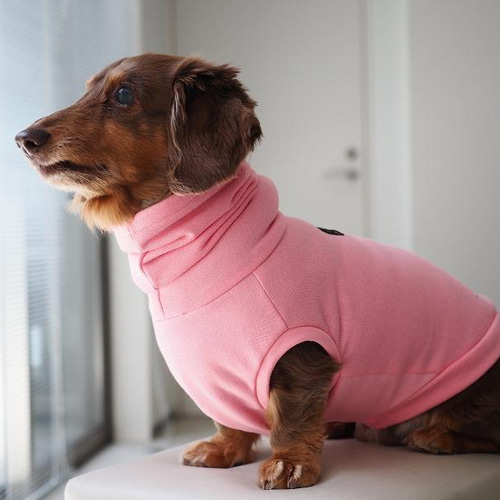 オーダーメイド犬服、冬用。オーダー受付中!! 損なわ