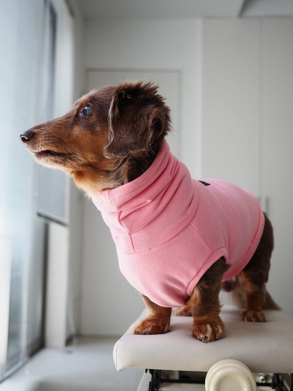 犬服　ニットのハイネックタンクトップ　中厚手　ピンク 3枚目の画像