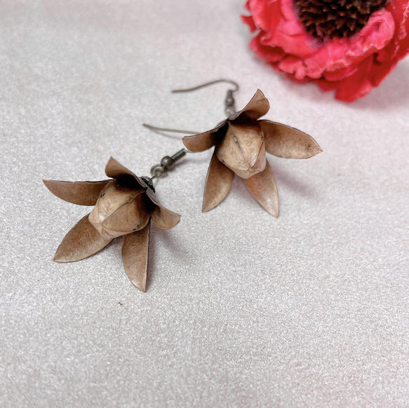 種子系列⎪香椿果耳環 第1張的照片