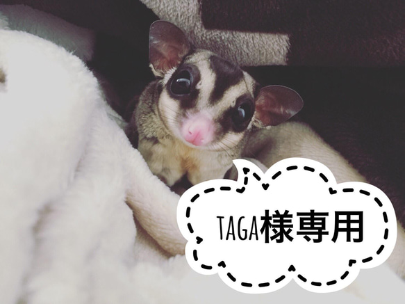 taga様専用 1枚目の画像