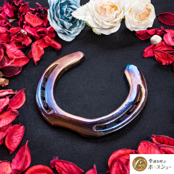 幸運を呼ぶホースシュー】世界に一つだけの色「アンドロメダ