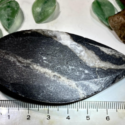 虹入り　オルソセラス　化石〈古生代 オルドビス紀〉 4枚目の画像