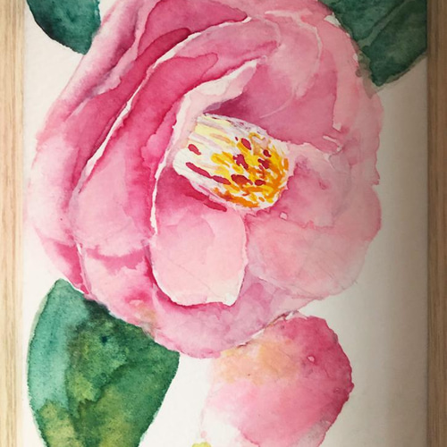 水彩画 原画 花 椿 赤 真作 絵 絵画 手描き ホルベイン つばき