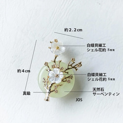 帯留めORブローチ 天然石サーペンティンと白蝶貝シェルフラワー 6枚目の画像