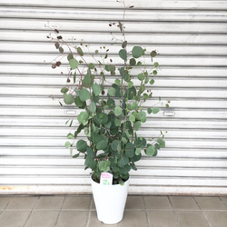 b6329960ccd780ce143698c47d3e11