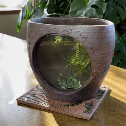 リビング観賞用炭化焼き陶器のガラス付き卓上メダカ水槽 癒し