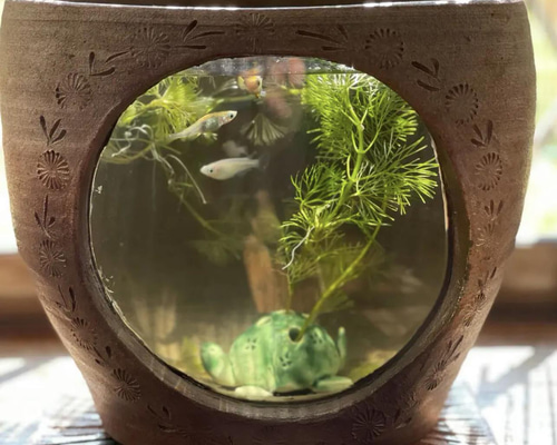 f2f8c7c32b4e59c0d0dca6bc0fc64c