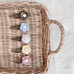 銀貨】庭猫 フィジー 2022年 1オンス シルバーコイン カラー版【純銀