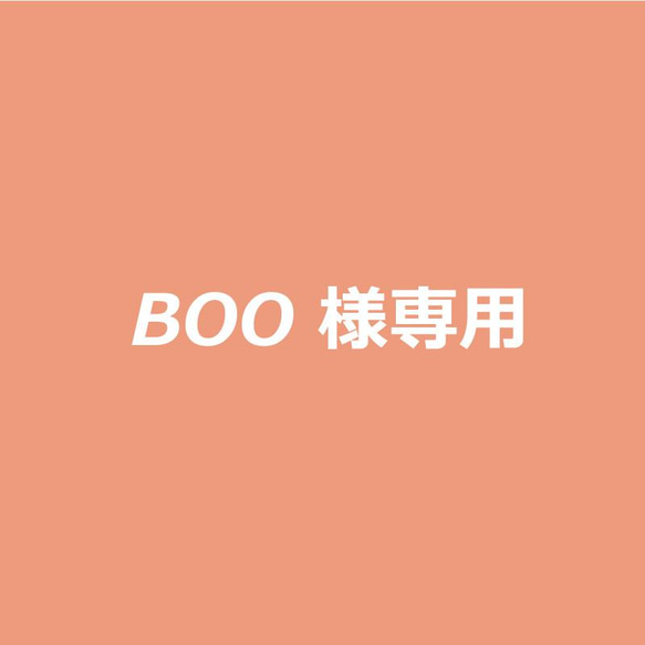 【BOO様専用】仕様変更分 1枚目の画像