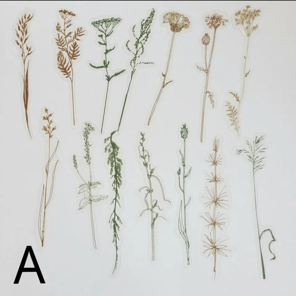 ドライフラワー　ステッカー 2枚目の画像