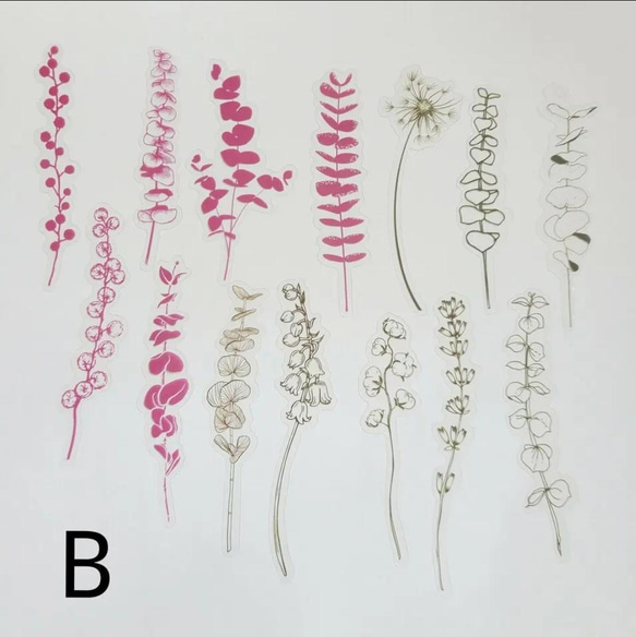 ドライフラワー　ステッカー 3枚目の画像