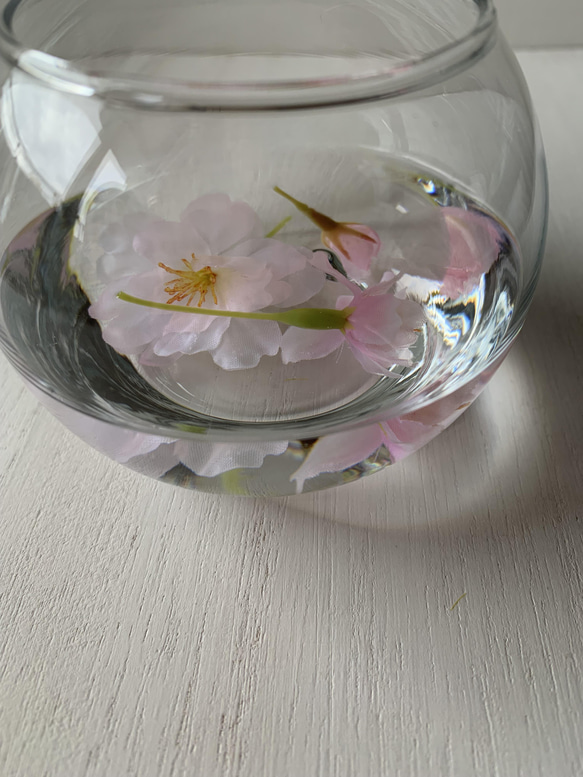 [送料無料] 水桜〜〜水に浮かぶ花びら〜〜桜のマジカルウォーターアレンジ 4枚目の画像