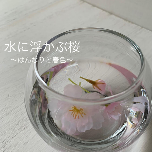 送料無料] 水桜〜〜水に浮かぶ花びら〜〜桜のマジカルウォーター