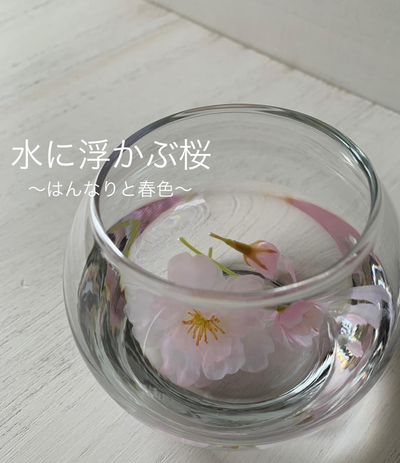 [送料無料] 水桜〜〜水に浮かぶ花びら〜〜桜のマジカルウォーターアレンジ 1枚目の画像