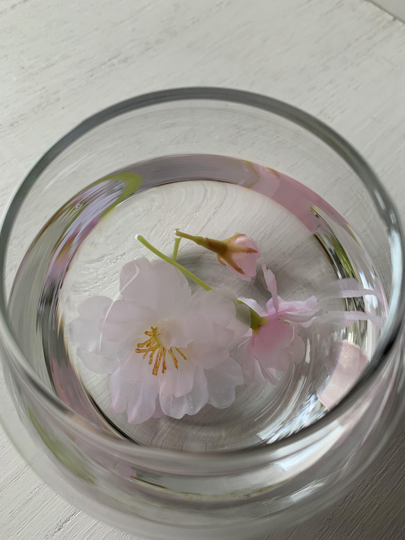 [送料無料] 水桜〜〜水に浮かぶ花びら〜〜桜のマジカルウォーターアレンジ 3枚目の画像