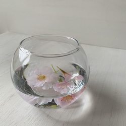 [送料無料] 水桜〜〜水に浮かぶ花びら〜〜桜のマジカルウォーターアレンジ 6枚目の画像