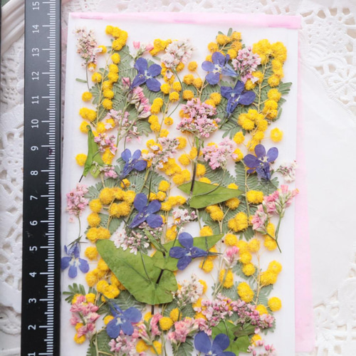 押し花ミモザと小花 その他素材 花mizuki 通販 13648402|Creema 押し花ミモザと小花 その他素材 花mizuki 通販 13648402|Creema