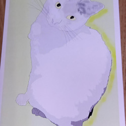 【 猫のポストカード 選べる4＆7枚セット＊ 】 可愛い 猫好き ポストカード 16枚目の画像