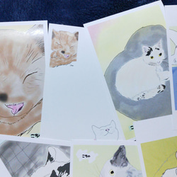 【 猫のポストカード 選べる4＆7枚セット＊ 】 可愛い 猫好き ポストカード 3枚目の画像