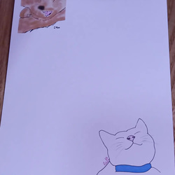 【 猫のポストカード 選べる4＆7枚セット＊ 】 可愛い 猫好き ポストカード 7枚目の画像