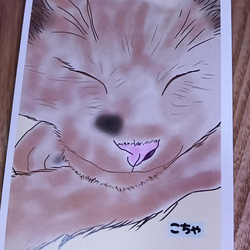 【 猫のポストカード 選べる4＆7枚セット＊ 】 可愛い 猫好き ポストカード 8枚目の画像