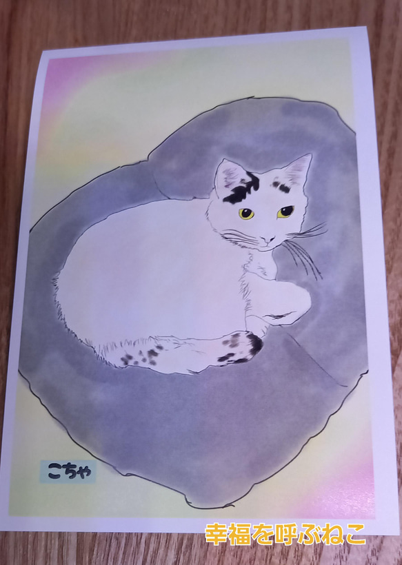 【 猫のポストカード 選べる4＆7枚セット＊ 】 可愛い 猫好き ポストカード 9枚目の画像