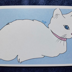 【 猫のポストカード 選べる4＆7枚セット＊ 】 可愛い 猫好き ポストカード 6枚目の画像