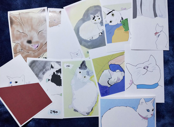 【 猫のポストカード 選べる4＆7枚セット＊ 】 可愛い 猫好き ポストカード 1枚目の画像