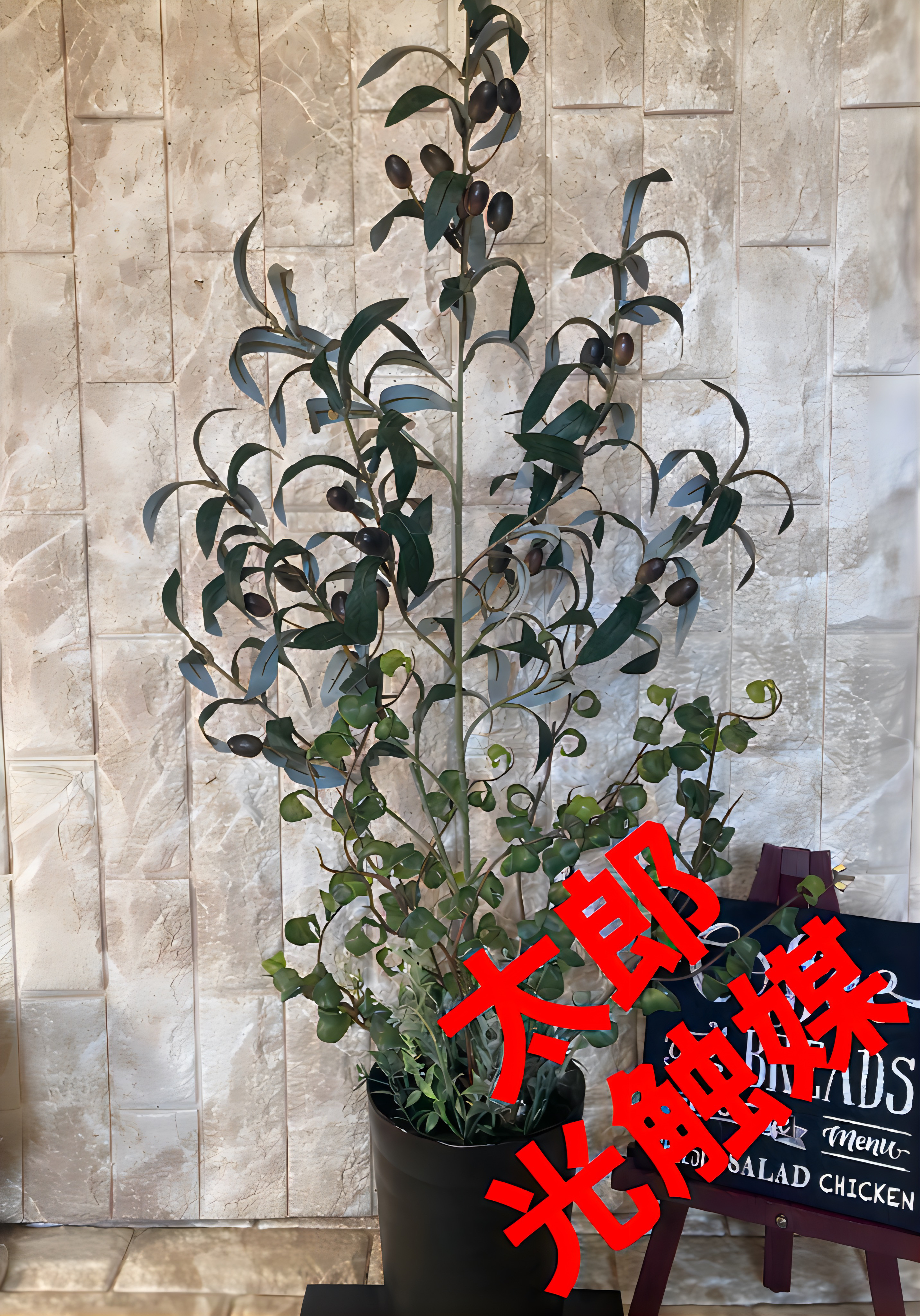 光触媒　人工観葉植物　ウォールグリーン　フェイク　フラワー　オリーブとバロック