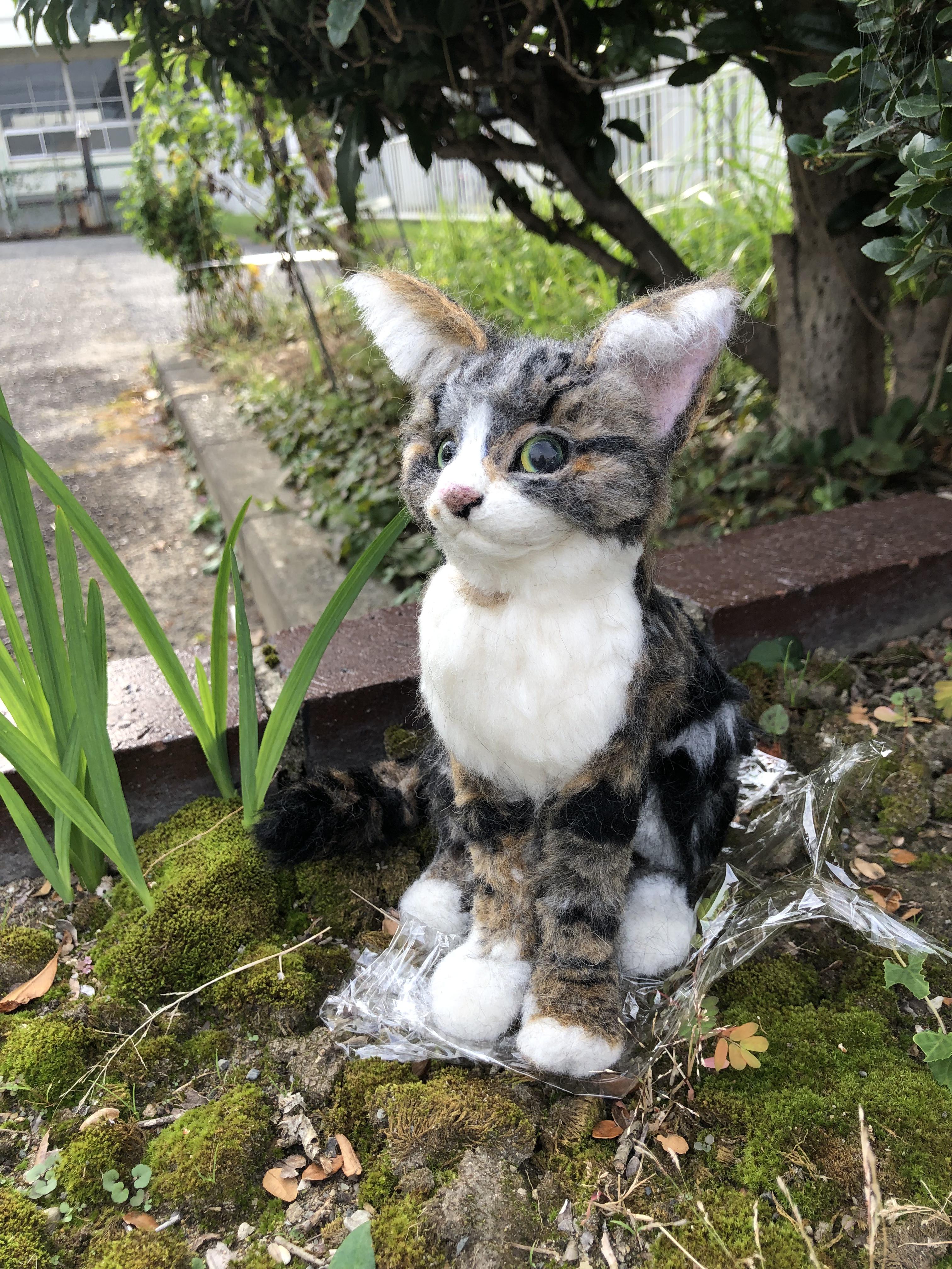 羊毛フェルト　猫　キジトラ　キジシロ　ミックス　オーダーメイド　受け付け