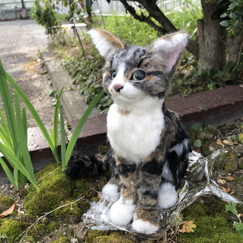羊毛フェルト 猫 キジトラ キジシロ ミックス オーダーメイド 受け付け 