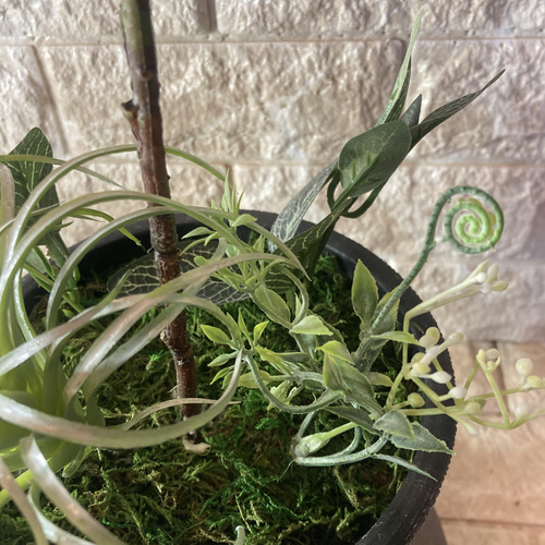 光触媒　人工観葉植物　ウォールグリーン　フェイク　フラワー　バオバブの苗