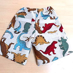 恐竜柄幼児用パンツ 5枚目の画像