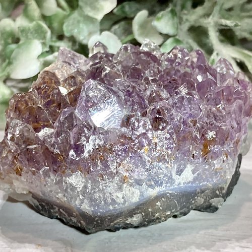 びっしり カコクセナイト✨ 【愛の守護石♡】虹入り˚✧₊⁎アメジスト