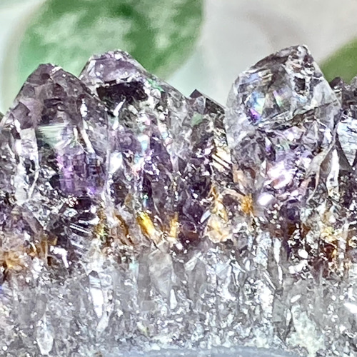 びっしり カコクセナイト✨ 【愛の守護石♡】虹入り