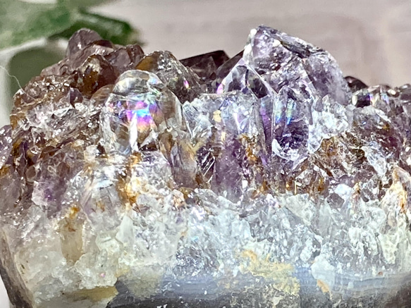 びっしり カクセコナイト✨ 【愛の守護石♡】虹入り˚✧₊⁎アメジスト びっしり カクセコナイト✨ 【愛の守護石♡】虹入り˚✧₊⁎アメジスト