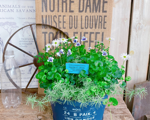 68835faeec9c6a7c76eb5e3ac49368