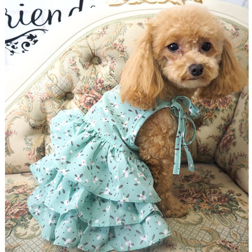 犬服　犬の服　ハンドメイド　キャミソール　フリル 楽天市場】犬服 キャミソール 春夏用 ワンピース フリル