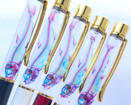 透明標本 ウズラ ワカサギ Amazon.co.jp: 透明標本/ウズラ / : ホーム＆キッチン