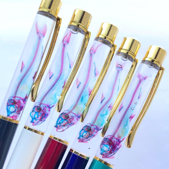 透明標本 ウズラ ワカサギ