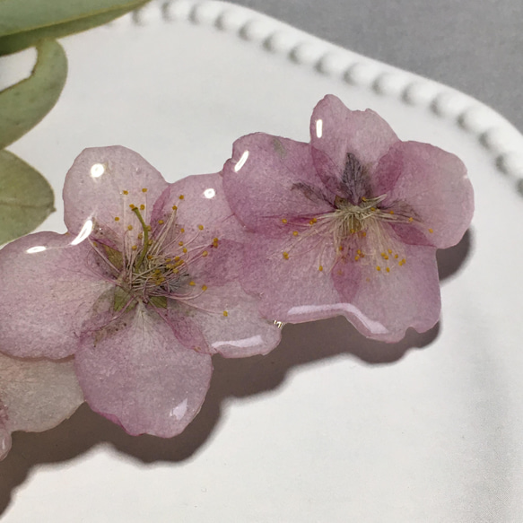 河津桜の押し花バレッタ 3枚目の画像