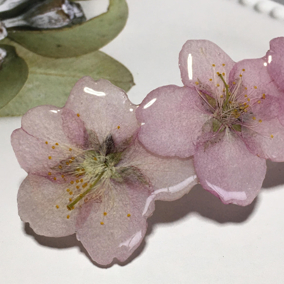 河津桜の押し花バレッタ 2枚目の画像