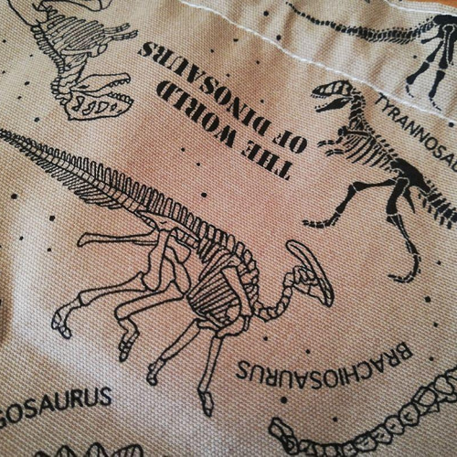 入園入学新学期 骨ほね恐竜 お弁当袋＆巾着袋2点set ディノサウルス