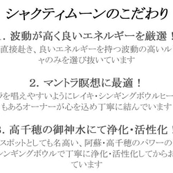 【ガネーシャ神・真鍮製】高品質ルドラクシャマーラーペンダント（菩提樹の実）  全１３色  第1～第７チャクラ対応　 6枚目の画像