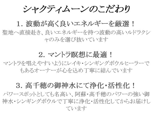 【ガネーシャ神・真鍮製】高品質ルドラクシャマーラーペンダント（菩提樹の実）  全１３色  第1～第７チャクラ対応　 6枚目の画像