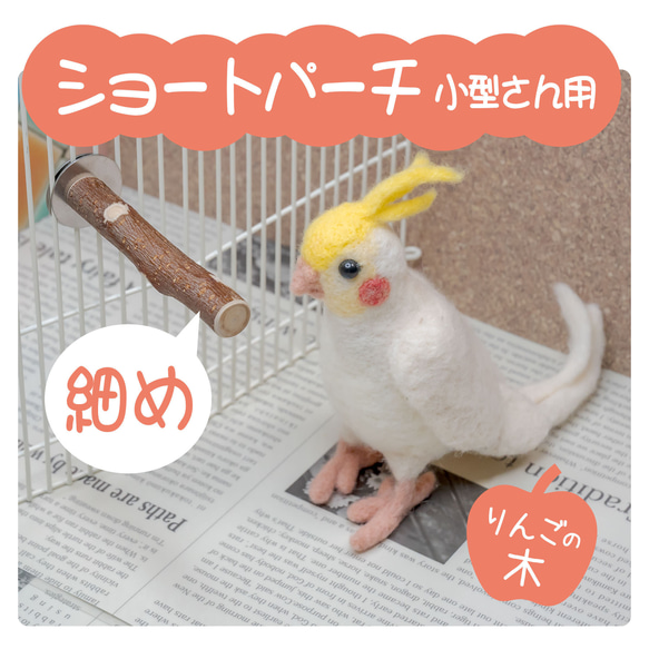 インコちゃんの✩.*˚りんごの止まり木　ショートパーチ細め　小型さん用 1枚目の画像