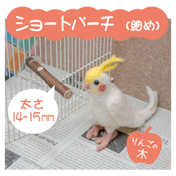 うめりんご♥️小鳥ちゃん♥️ゆらゆらハウス♥️インコ、文鳥etc 小鳥ちゃん❤ゆらゆらハーフハウス❤️ココア×ミルク❤️インコ